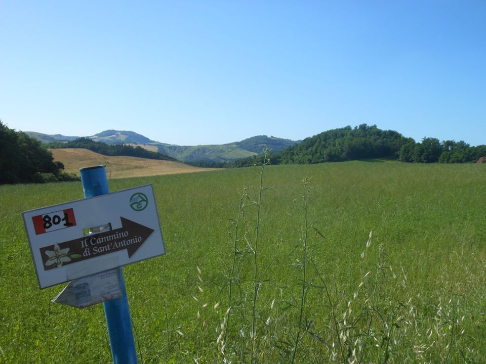 Tutti in marcia “I love Cammini Emilia Romagna” 12 passeggiate con la guida, gratuite, tra boschi e pievi
